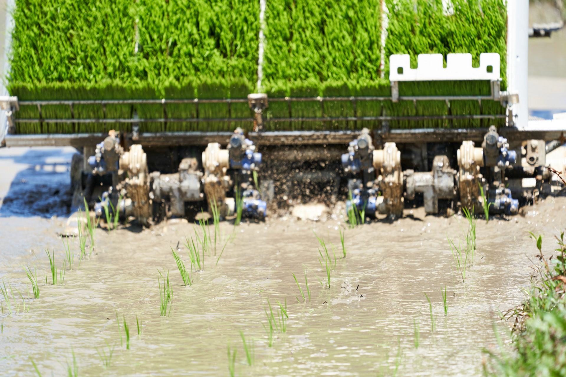 株式会社中江農園は今年も田植えをスタートしました。